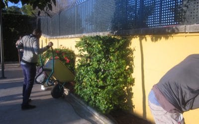 NUEVO VOLUNTARIADO EN EL CENTRO DE REFUGIADOS